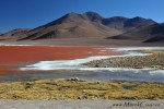 Tato fotka není nijak přibarvená, ačkoli mnohé z vás to jistě napadlo. Toto mělké solné jezero vděčí za svou barvu červeným sedimentům a řasám, které zde přežívají díky vysoké koncentraci soli. Leží ve výšce 4278m.n.m.