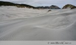 V oblasti okolo Cape Farewell jsme nejprve šli zelenou oblastí plnou pasoucích se ovcí. Tato krajina se však najednou dramaticky změnila v písečné duny, táhnoucí se několik km podél pobřeží.