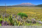 Mohutná sopka Mt. Ruapehu se skládá z několika vrcholů mezi nimiž je kráterové jezero. Je to údajně jedna z nejvíce aktivních sopek na světě a svojí výškou 2797m je nejvyšším vrcholem severního ostrova.