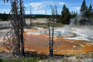 Yellowstone