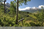 Pohled z Kravincové hory na Mt. Crested Butte a Whetstone. Název "Kravincová hora" dostala ode mne poté, co jsem jednoho dne na své procházce do jednoho z tisíců (díky hluboké trávě) špatně viditelných kravinců sedl :)