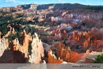 Skrze Bryce Canyon vede několik stezek. Jedna z nejznámějších je z Sunrise na Sunset point a právě zde začíná