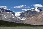 Nedaleko známého Icefield (ledového pole) v n.p. Jasper