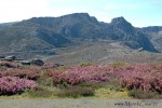 Serra da Estrela je nejvyšší pohoří pevninského Portugalska. Na nejvyšší vrchol Torre 1993m vede asfaltová silnice, což jistě potěší jak cyklisty, tak lidi, kteří z různých důvodů nemůžou jít pěšky