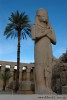 Socha Ramessese II tentokrát v Karnaku