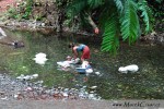 V mnoha zemích Střední Ameriky většina žen pere klasickým způsobem v řece nebo jezeře