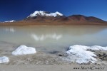 V jihozápadní Bolívii (u hranice s Chile), mně krásná a zárověň drsná a divoká krajina vyrazila dech. Vysoké, sněhem přikryté horské štíty s jezery v několik stovek km nekonečné poušti byl hlavní důvod, čím si mě Bolívie získala