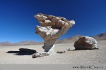 Toto je jeden ze zvláštních skalních útvarů v poušti Siloli. Jmenuje se Árbol de Piedra (Kamenný strom). 