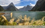 Jedním z nejznámějších a nejnavštěvovanějších míst Zélandu je bezesporu Milford Sound.Toto místo stojí za návštěvu zejména poté, co sem buď dorazíte pěšky během třídenního světoznámého oblíbeného Milford treku,nebo co si tento fjord projedete na lodi