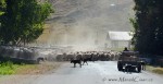 Mezi parky Egmond a Tongariro jsme použili cestu "Forgotten World Highway",kterou občas mylně cestovatelé použijí jako zkratku.Jedná se však opravdu o téměř zapomenutou osamělou a místy nezpevněnou cestu, plnou zatáček a zvlněné farmářské krajiny