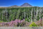 Kousek vedle se nachází další sopka Mt.Ngauruhoe 2291m vysoká,vytvořená z vrstev lávy a úlomků vzniklých při sopečné erupci.Počet zájemců o zdolání jejího vrcholu prudce vzrostl poté,co byla použita jako předloha Hory Osudu ve filmu Pán Prstenů