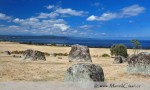 Jezero Taupo je největší jezero na Novém Zélandu. Nachází se uprostřed severního ostrova mezi městy Taupo a Turangi. V této oblasti narázíte jak na původní obyvatele Zélandu Maori, tak na obrovské množství zahraničních turistů.