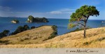 Krajina a pobřeží na poloostrově Coromandel je dalším z mnoha míst, které rozhodně stojí za návštěvu.