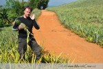 Na thajském venkově jsou k vidění i plantáže s ananasem, banány a dalším rozličným tropickým ovocem...