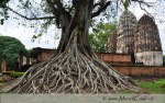 Krásné a tajuplné místo Sukhothai je další starobylé město,které stojí za návštěvu.Výhodou je,že zde už není tolik turistů jako v okolí Bangkoku a budete mít tak na prohlídku mnohem větší klid.