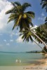 Kokosové palmy celkovou atmosféru tropického "ráje" ještě podtrhují.