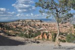 n.p. Bryce Canyon je dalším velkým lákadlem v Utahu, které by člověk určitě při návštěvě USA neměl vynechat