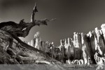 Když jsem tudy v roce 1999 kráčel poprvé, vyfotil jsem si tento vyvrácený kořen v Bryce Canyonu na diapozitiv. Poté, co fotografie sklidila úspěch na výstavě a souteži, s velkou chutí jsem si ji nafotil i nyní po 11ti letech na digitál           